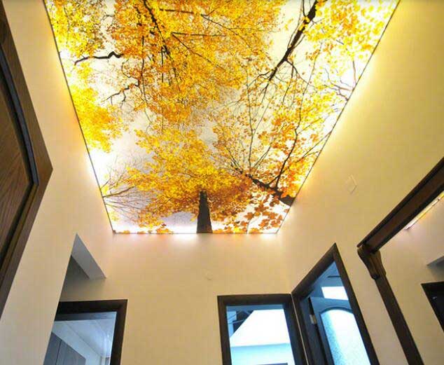 نمونه کار سقف کشسان پاییزی در قم
